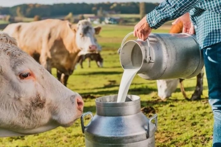 ÜRETİCİ SÜTE ZAM BEKLİYOR