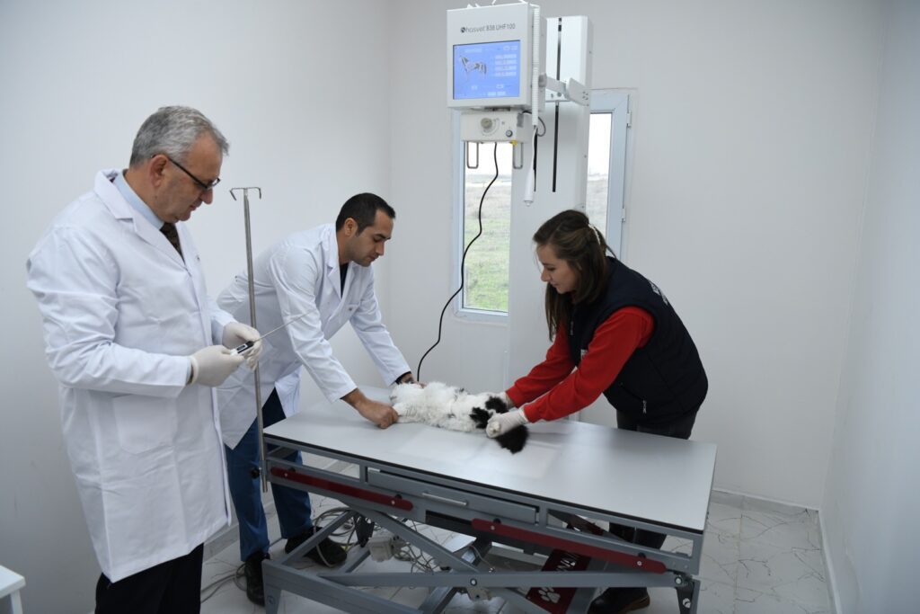 Yeni röntgen cihazı ile kesin çözümler üretiliyor