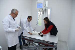 Yeni röntgen cihazı ile kesin çözümler üretiliyor