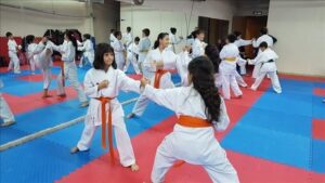 Karate kursu kayıtları başlıyor