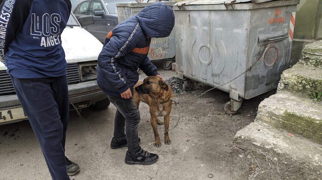 Yangında mahsur kalan köpek kurtarıldı