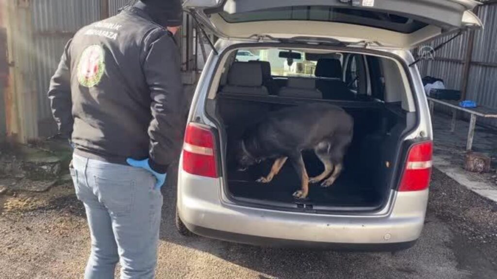 70 kilogram esrar ele geçirildi
