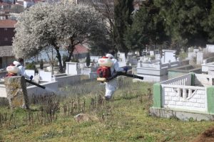 Mezarlıklarda ilaçlama çalışması yapıldı
