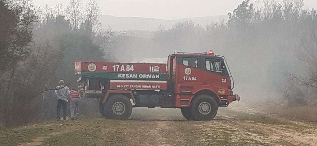 Ormanlık alanda çıkan yangın söndürüldü