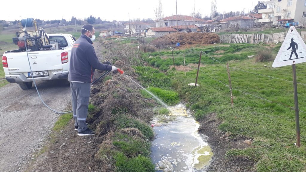 Haşere ve sineklere karşı ilaçlama çalışması başladı