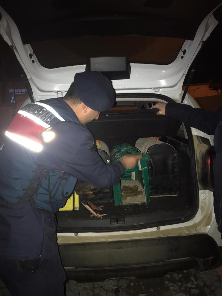 Horoz dövüştüren 3 kişi gözaltına alındı