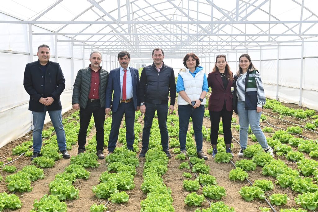 Seralardaki çalışmaları yerinde inceledi