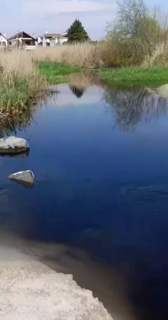 Tekirdağ’da çevre katliamı