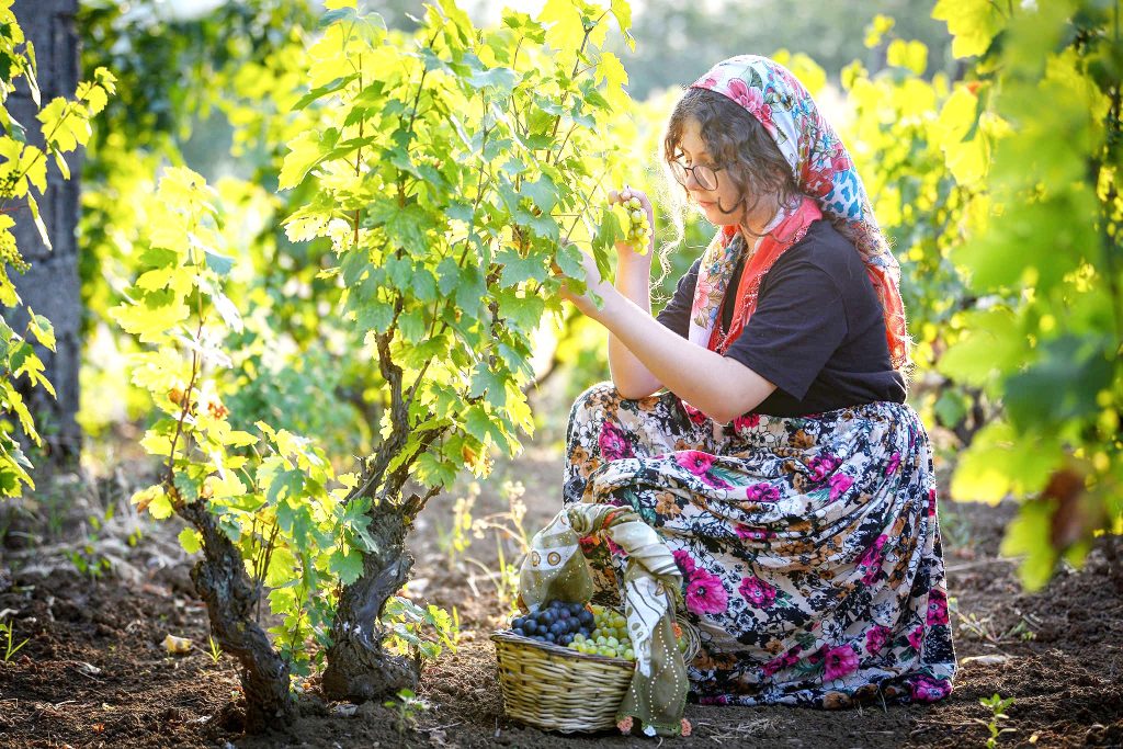 Fotoğraf yarışması sonuçlandı