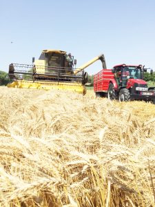 TMO 285 bin ton ürün aldı