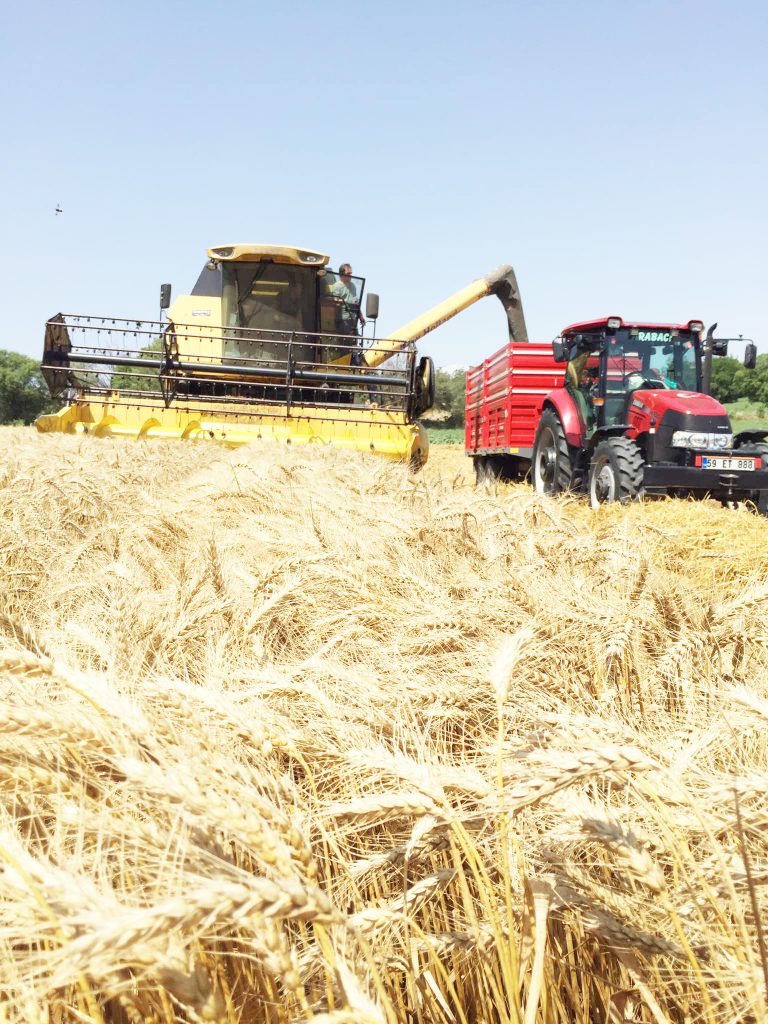 TMO 285 bin ton ürün aldı