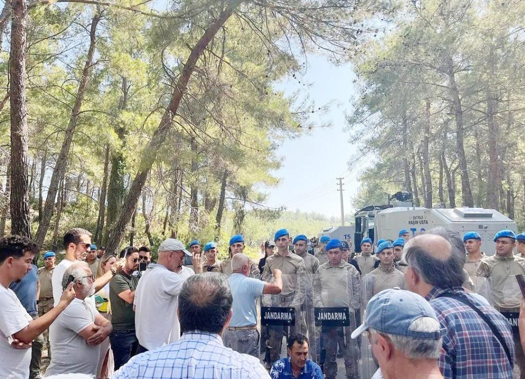 “Ellerinizi ağaçlarımızdan çekin”
