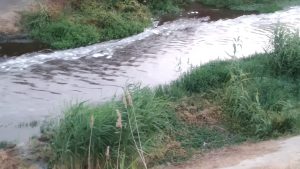 TEKİRDAĞ’DA ÇEVRE KİRLİLİĞİ
