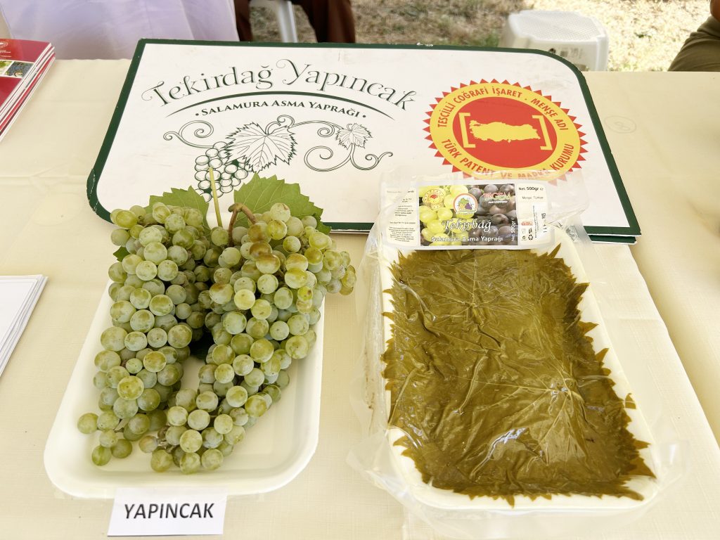 Üzüm festivali yapılmalı