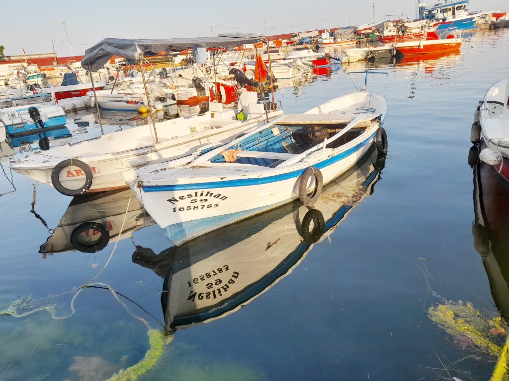 Tekirdağlı balıkçılar Karadeniz’e ağ atacak