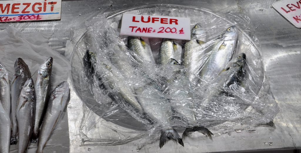 TEKİRDAĞ’DA LÜFER BOLLUĞU