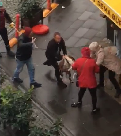 Sokak ortasında köpek saldırısı