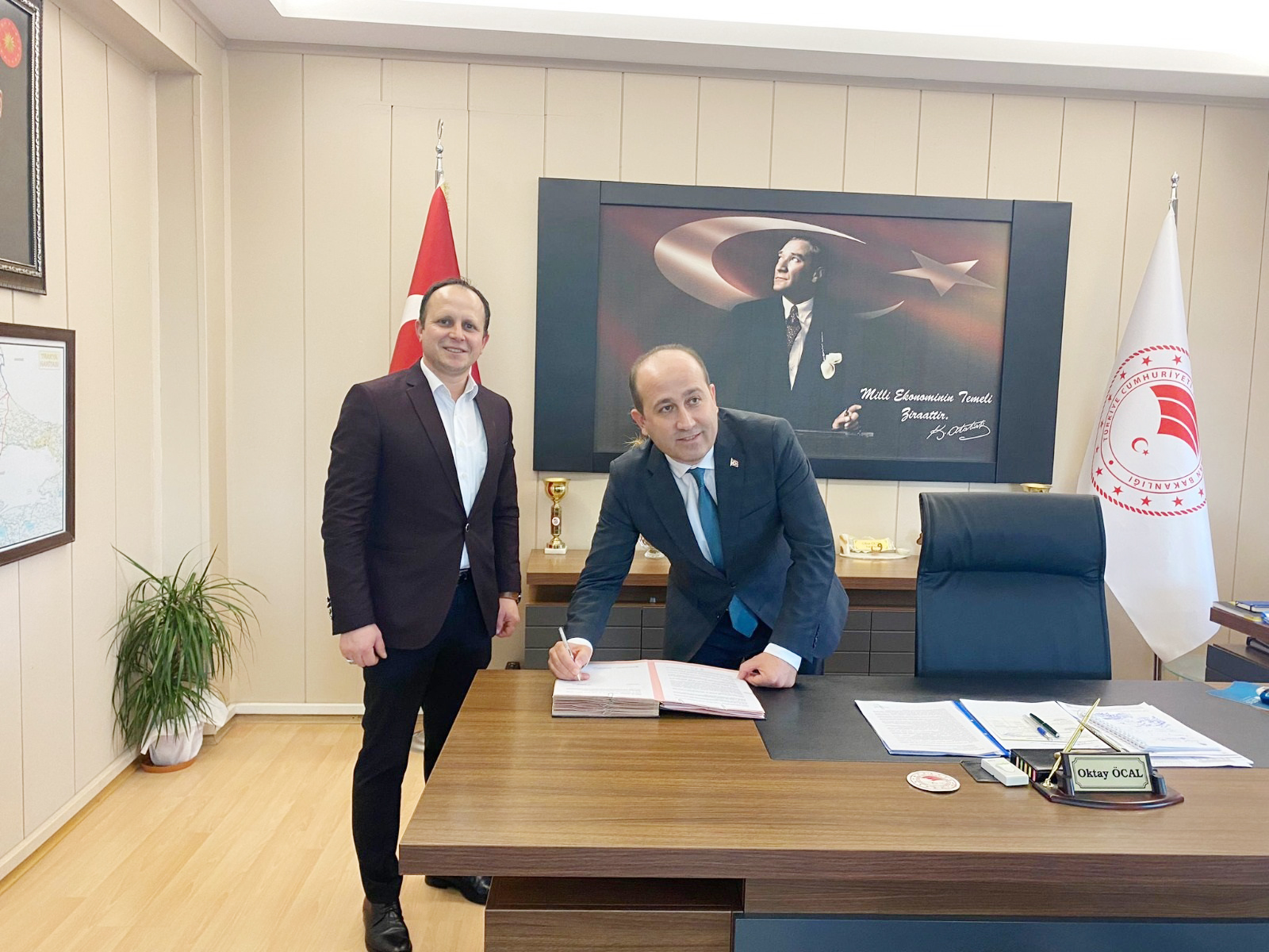 Buzağılara kulak küpesi ücretsiz uygulanacak