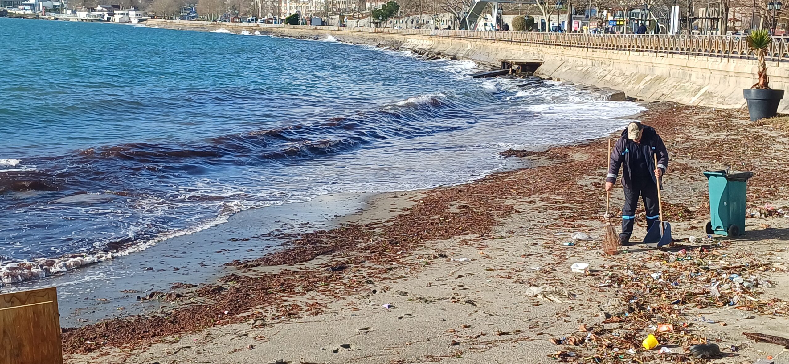 Sahil yosun kaplandı