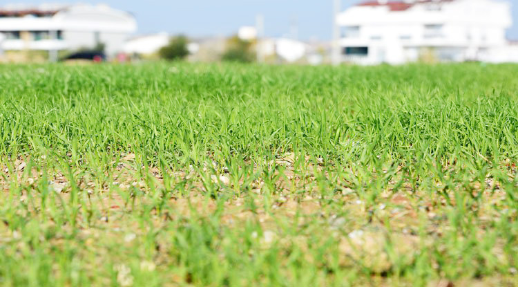 Tekirdağ’da kuraklık alarmı