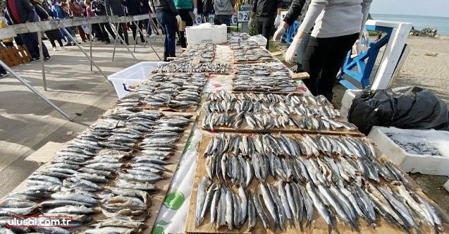 Hamsi ve mıhlama festivali başlıyor