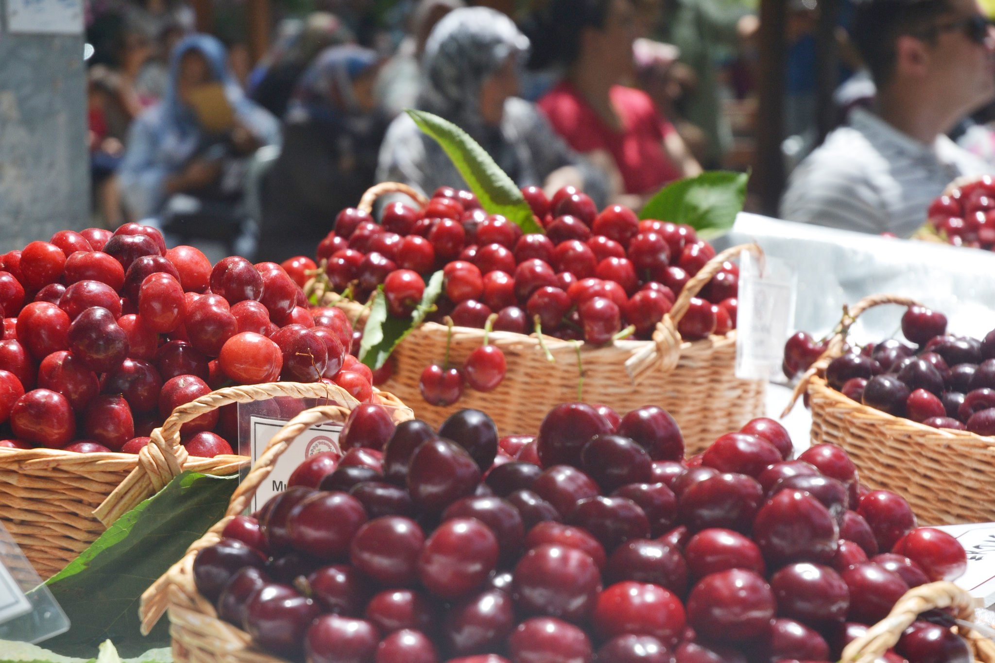 Kiraz Festivali tarihi belli oldu