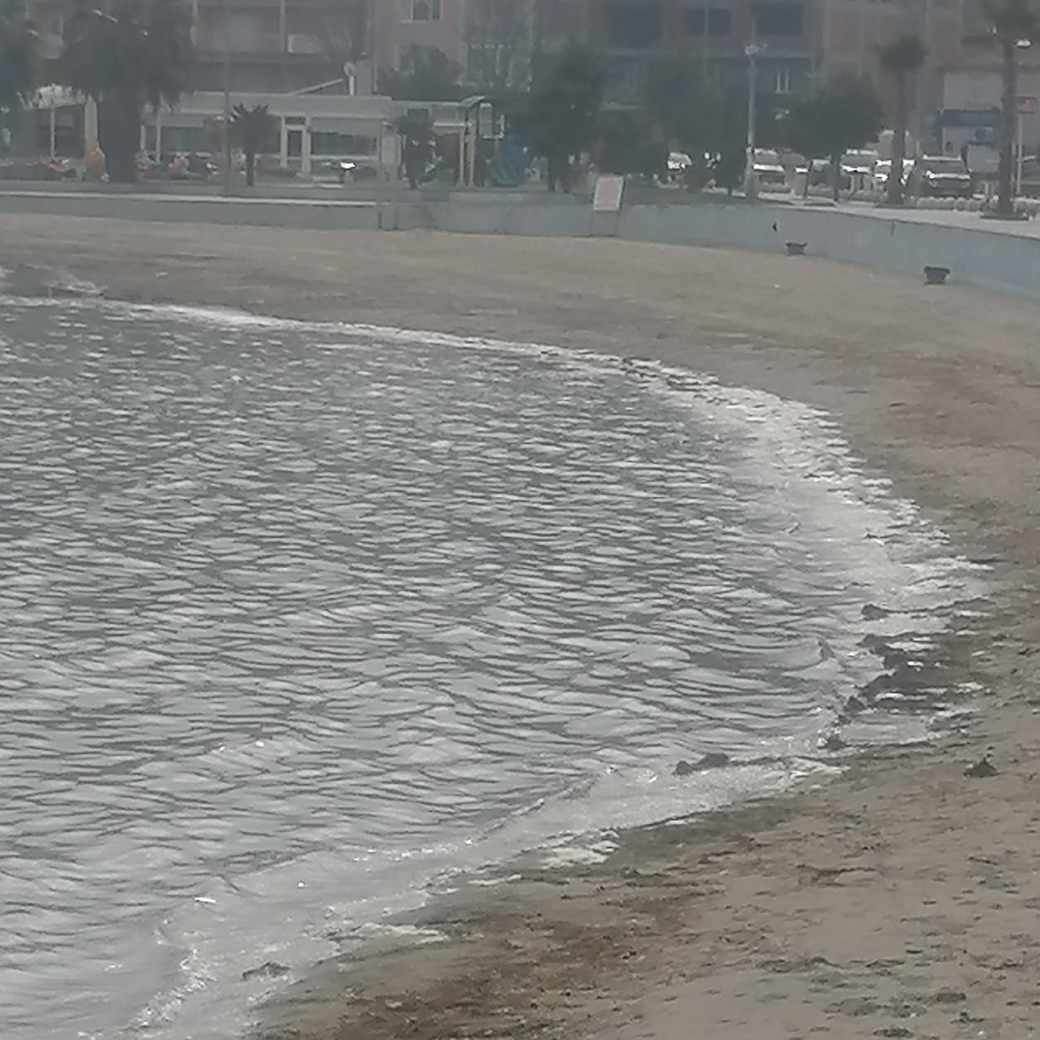 Denizde kirlilik oluştu