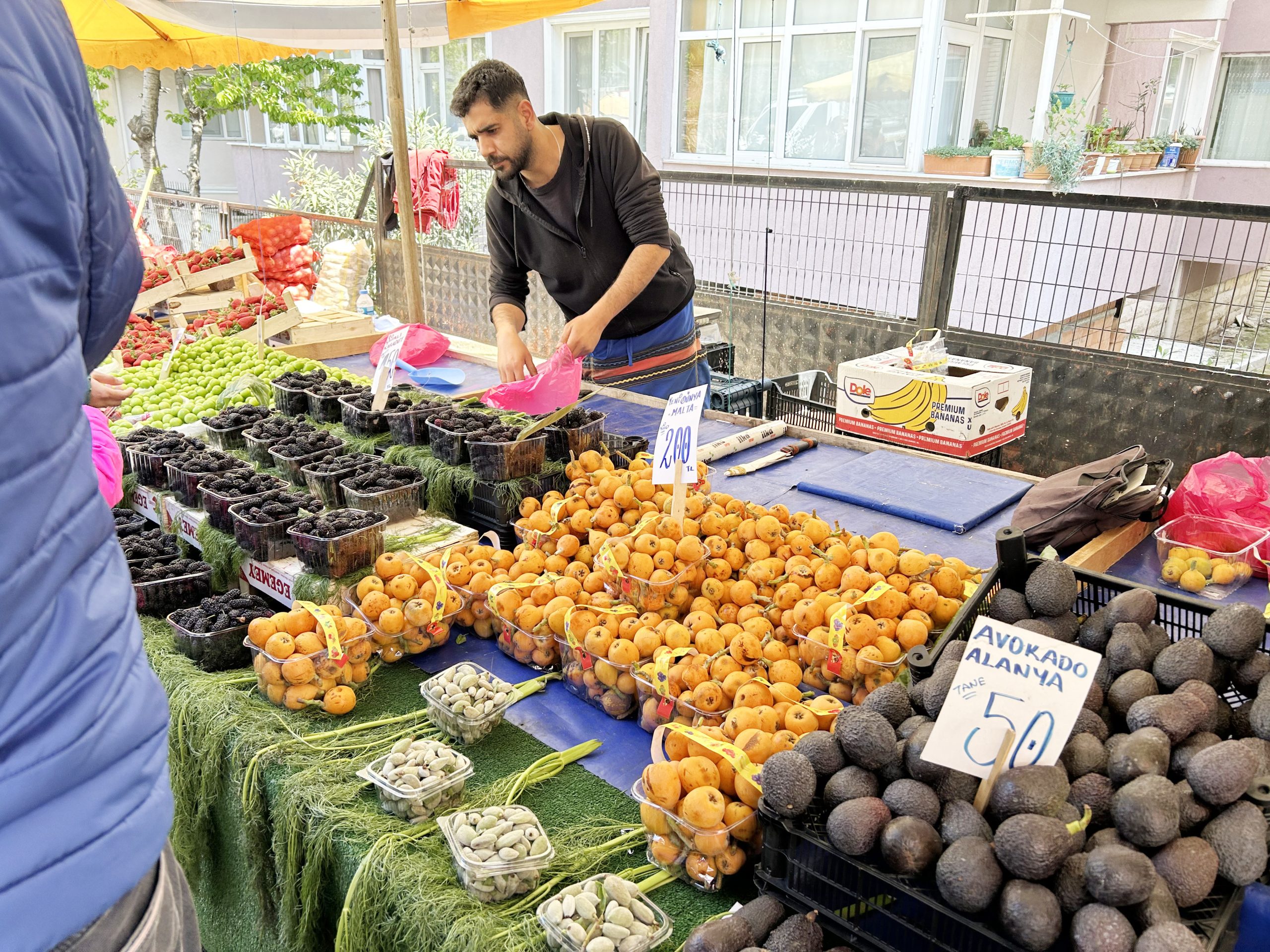 Turfandalar cep yakıyor