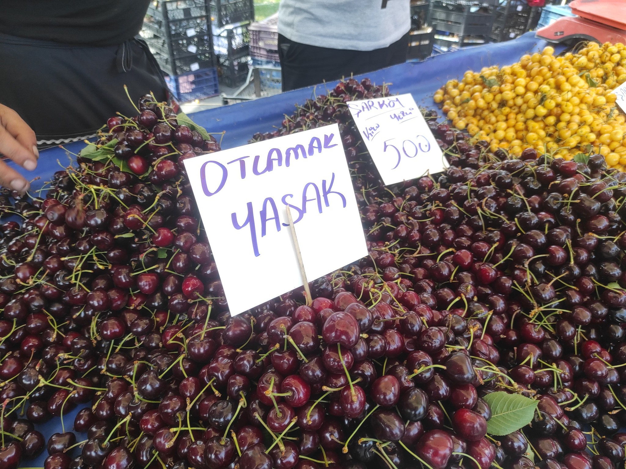 Otlatmak etiketine zabıtadan ceza