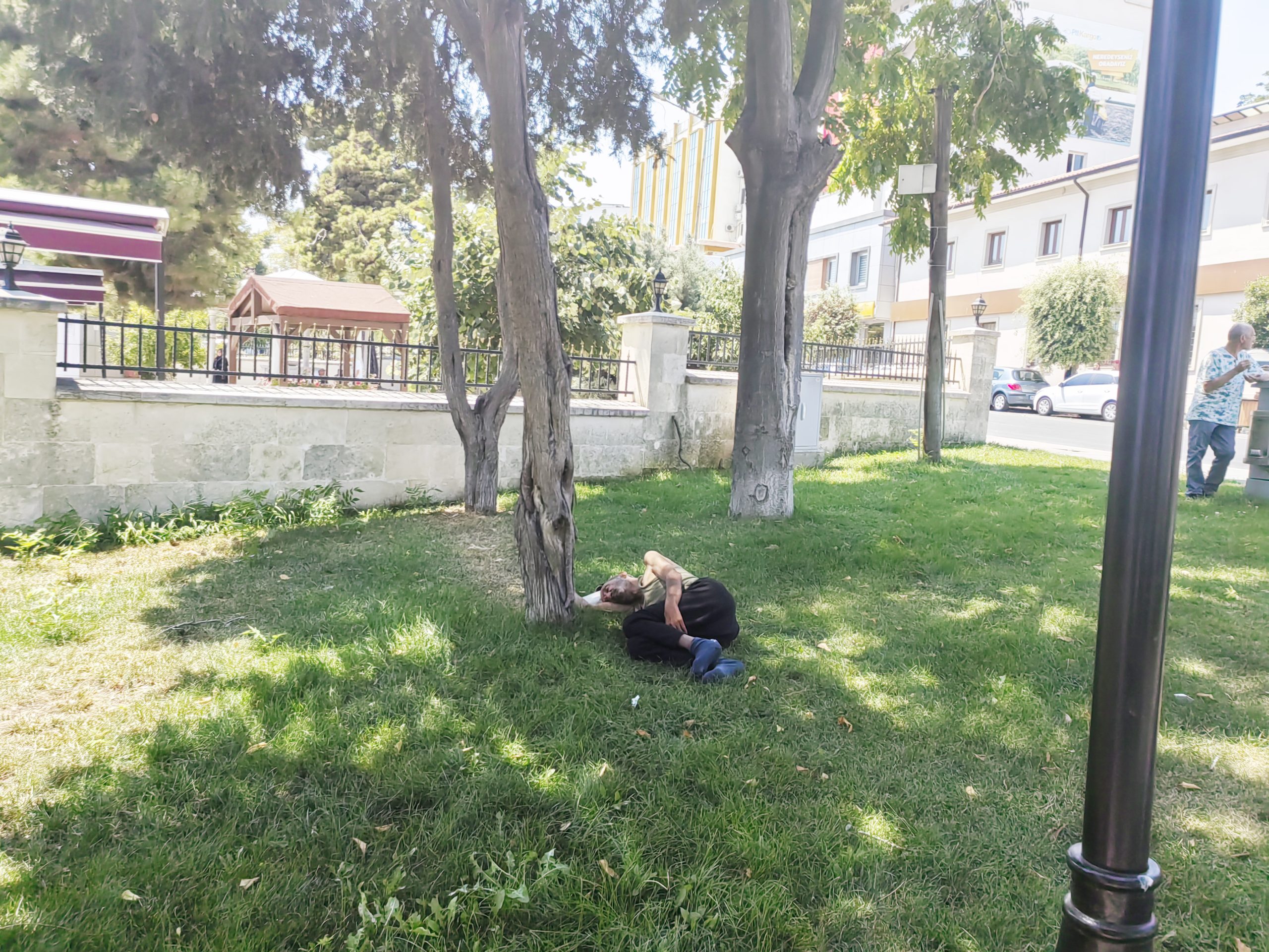 Ağaç altında yattı