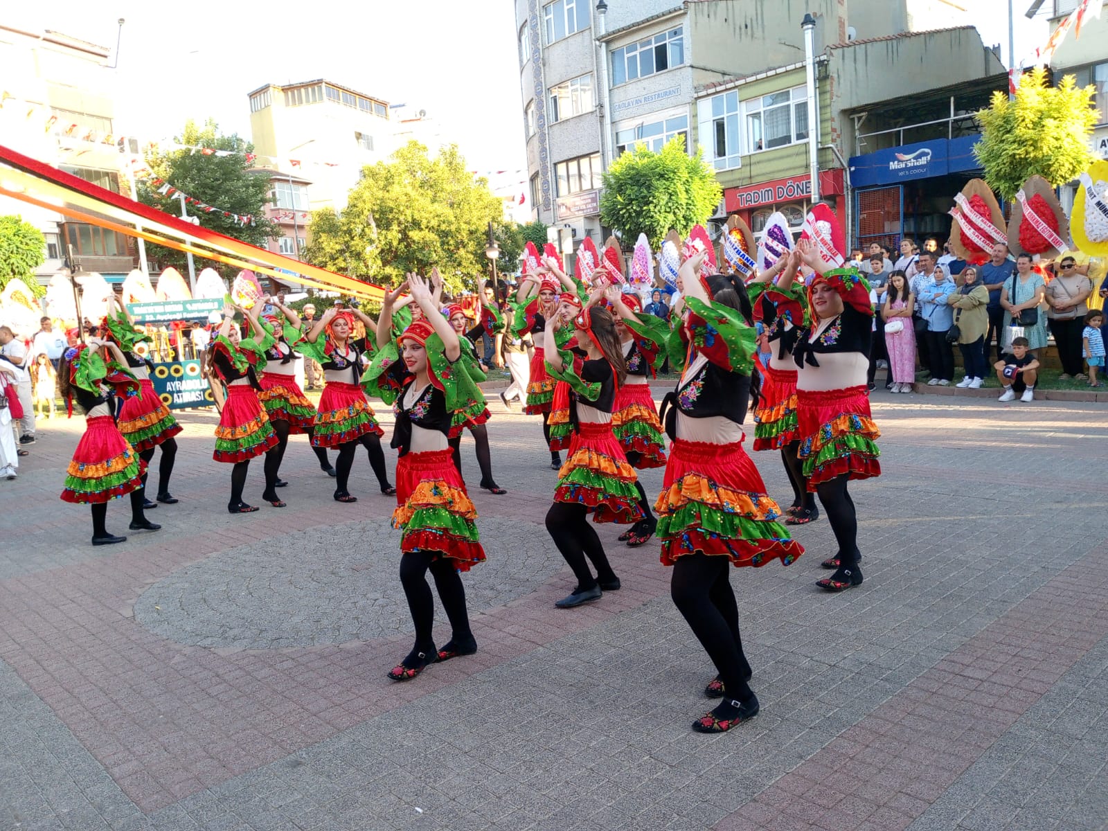 Ayçiçeği festivali başladı