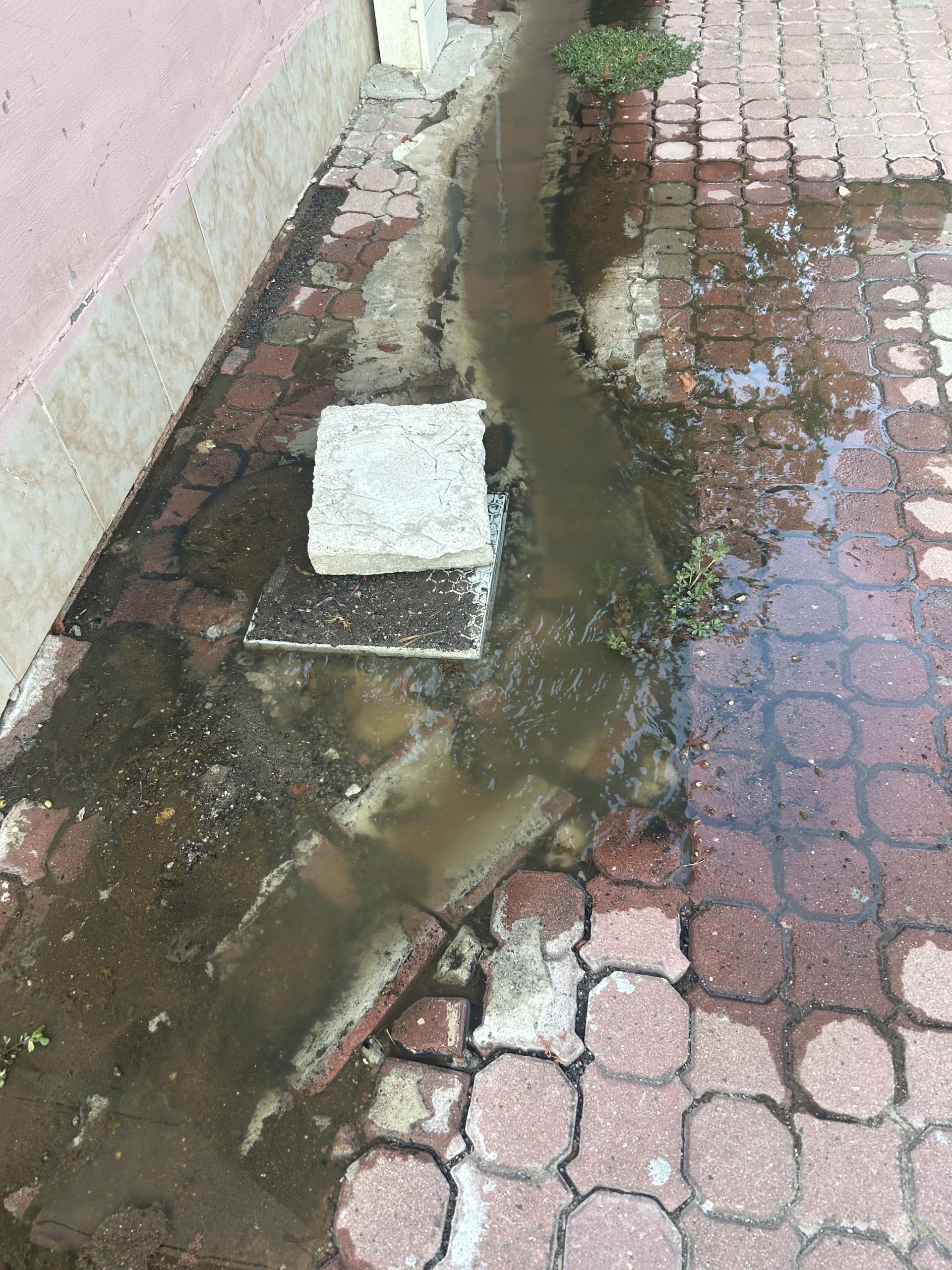 Yazlıkçıları isyan ettiren durum