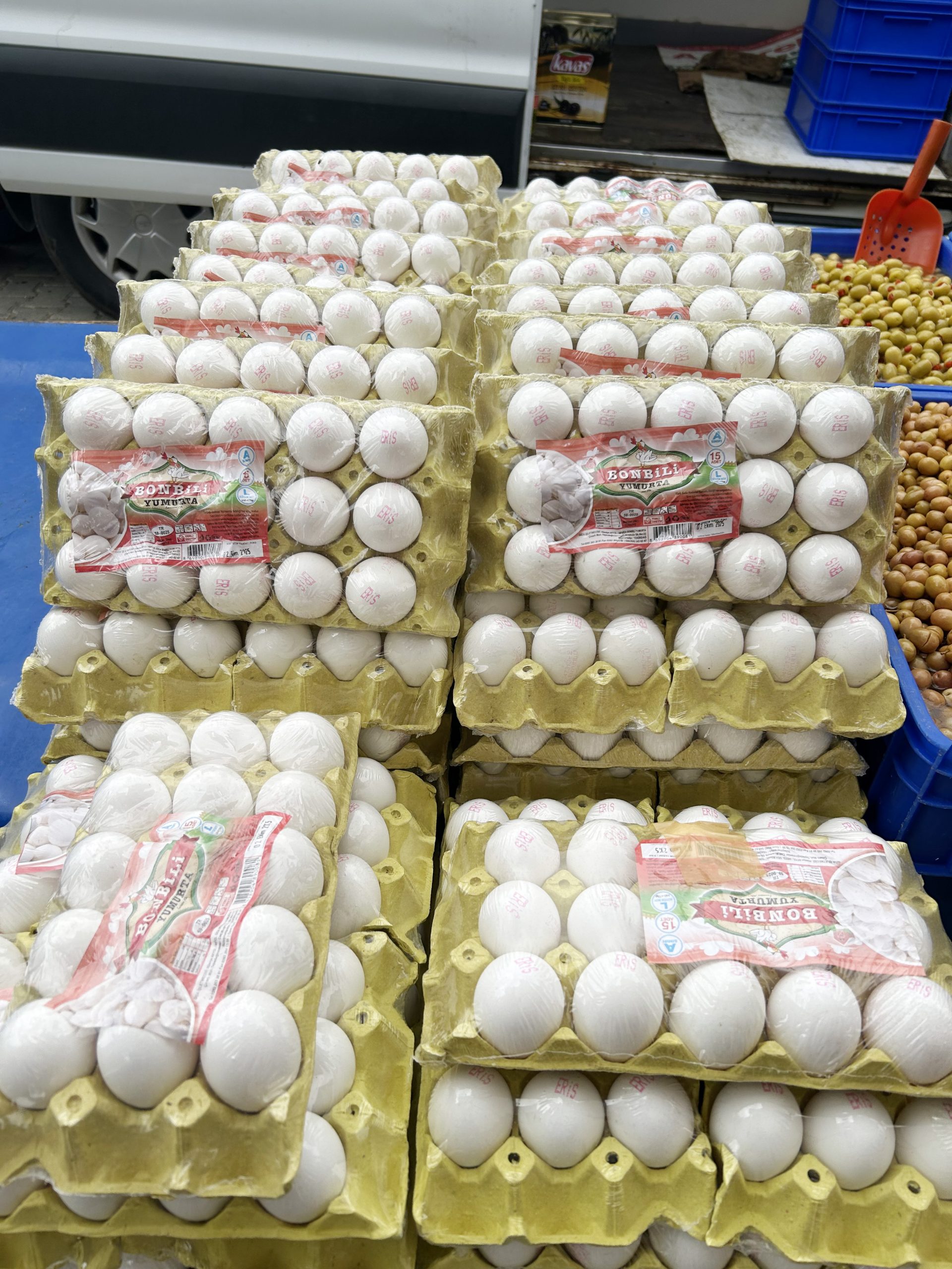 Yumurta fiyatları düştü