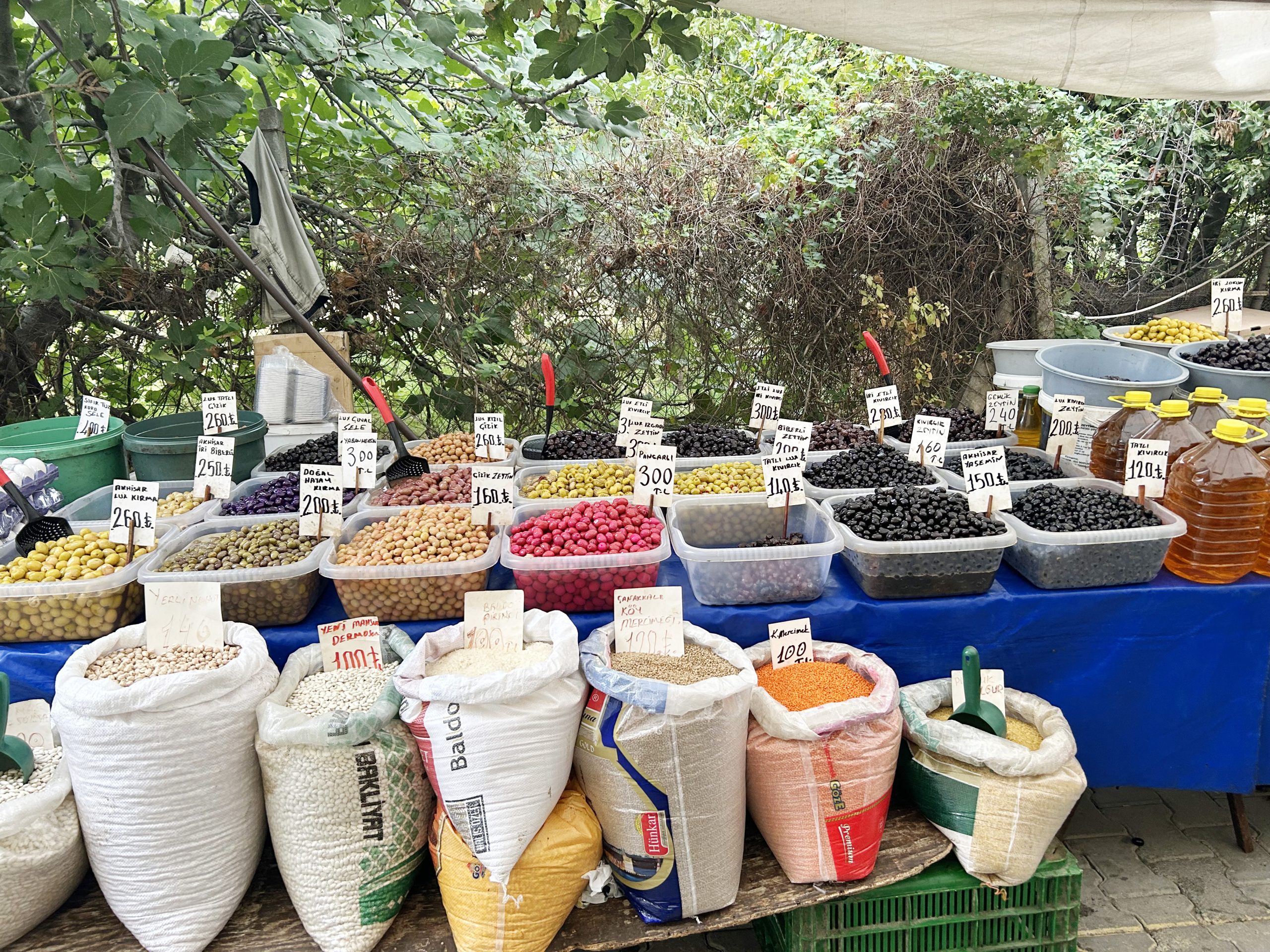 Zeytin fiyatları 470 TL’ye kadar çıkıyor