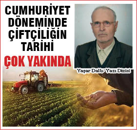 Yaşar Dallı, Yazıları ile Habertrak’ta