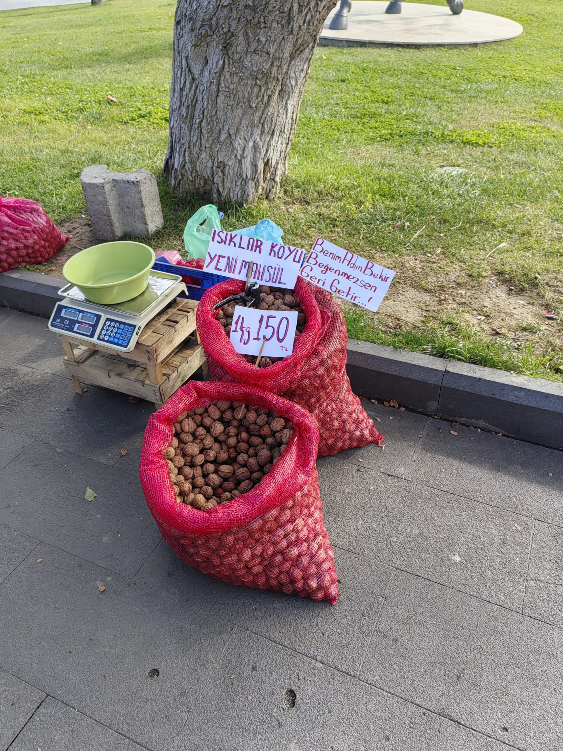 Ceviz tezgahlardaki yerini aldı