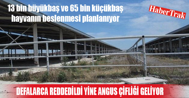 KÜÇÜK İLÇEYE DEV TESİS