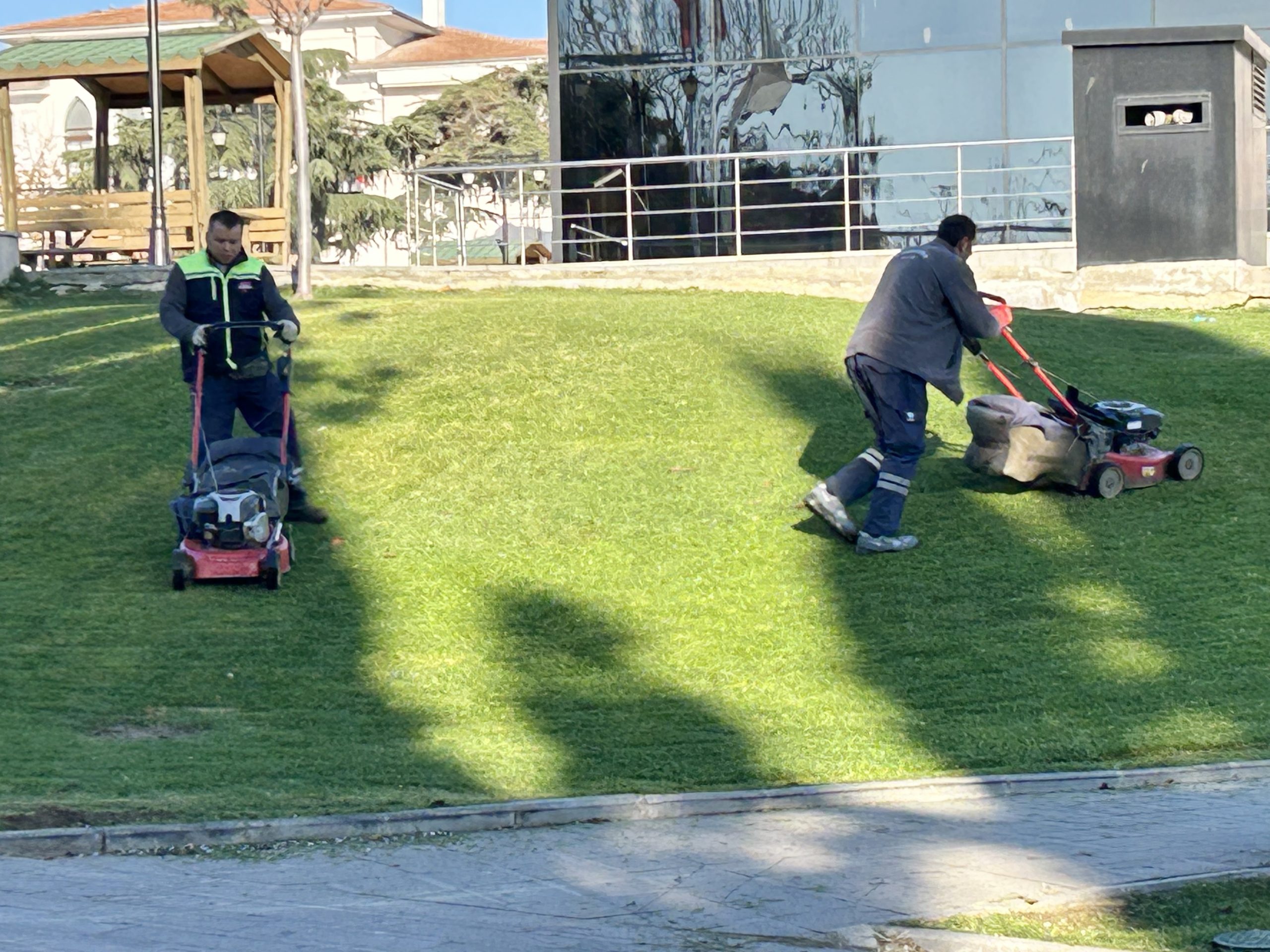 Belediyeden çim biçme seferberliği