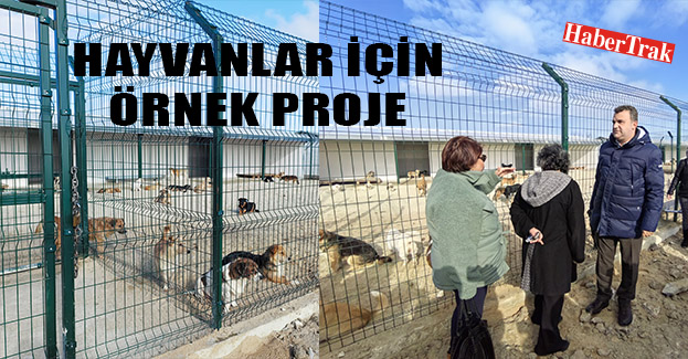 Hayvanlar için örnek proje