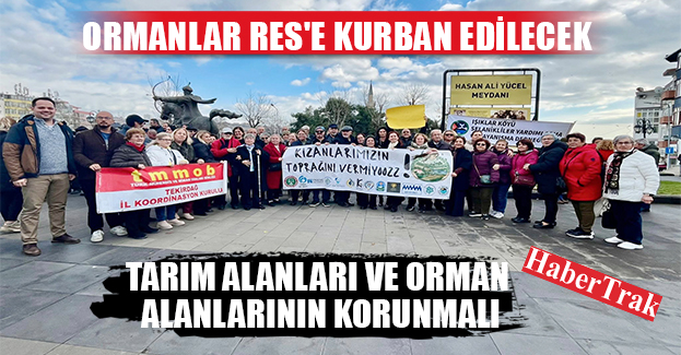 ORMANLAR RES’E KURBAN EDİLECEK