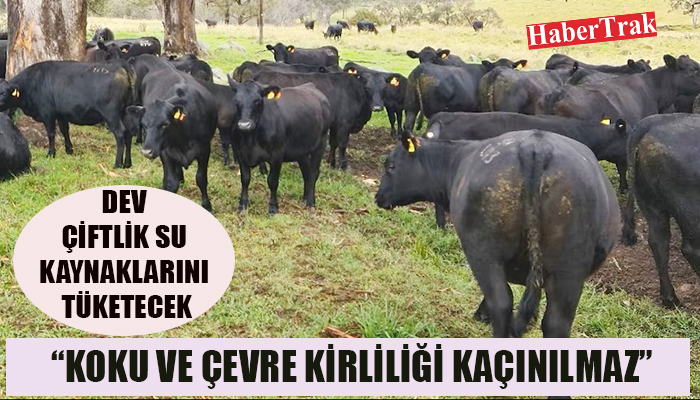 DEV ÇİFTLİK SU KAYNAKLARINI TÜKETECEK