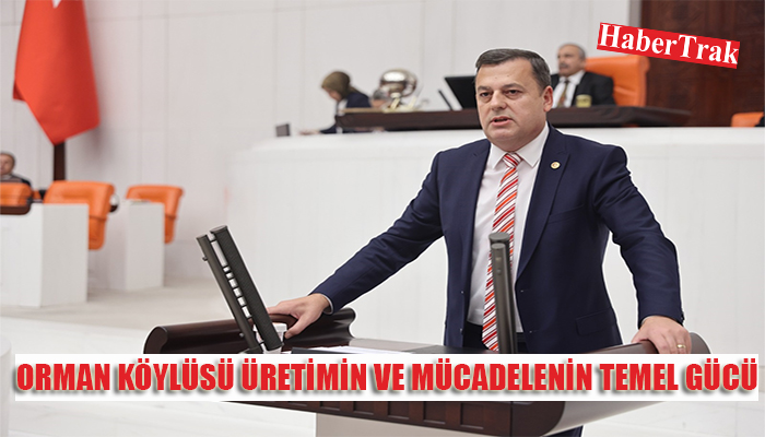 ORMAN KÖYLÜSÜNÜN SORUNLARI YILLARDIR ÇÖZÜLEMİYOR