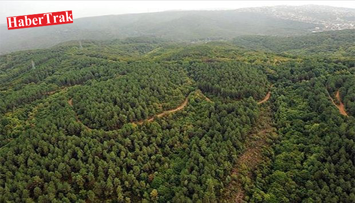 DOĞA İÇİN İTİRAZ ETTİLER