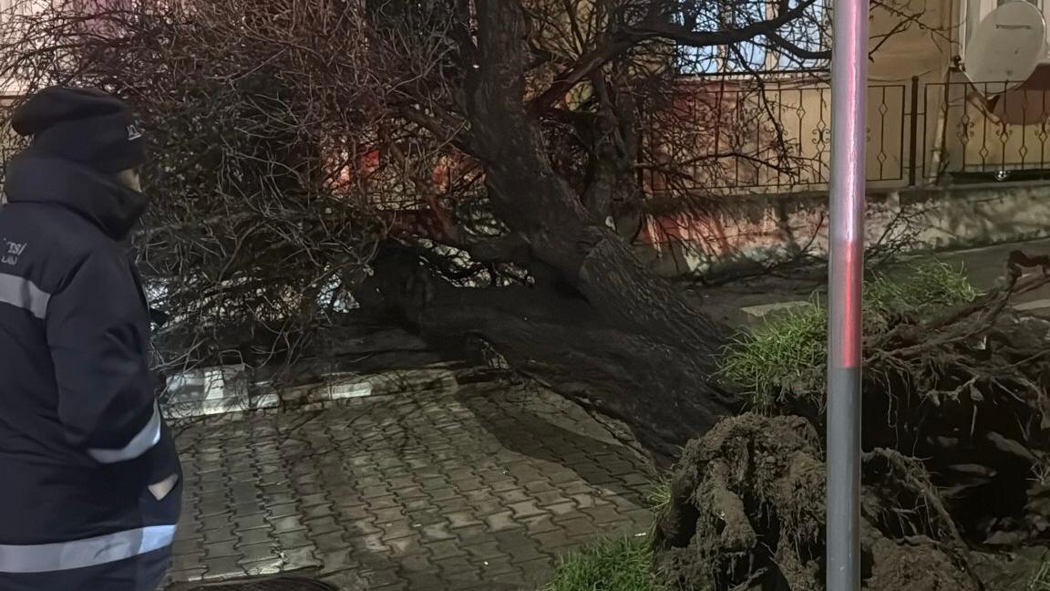 Belediye fırtınaya karşı teyakkuza geçti