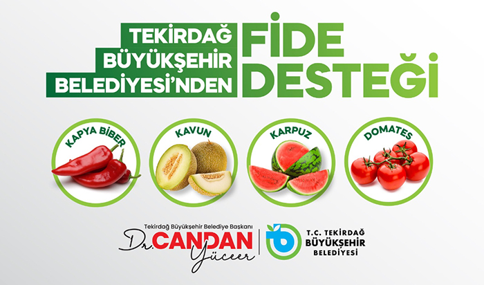Belediyeden fide desteği