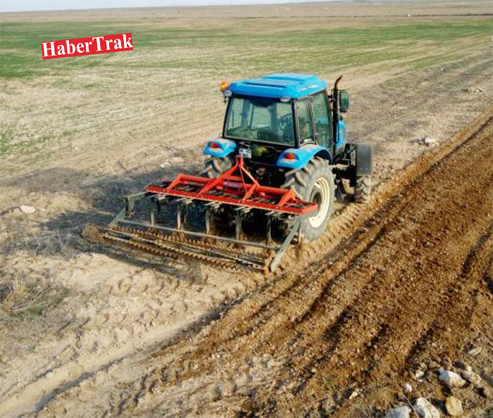 Tarlalarda hummalı çalışma