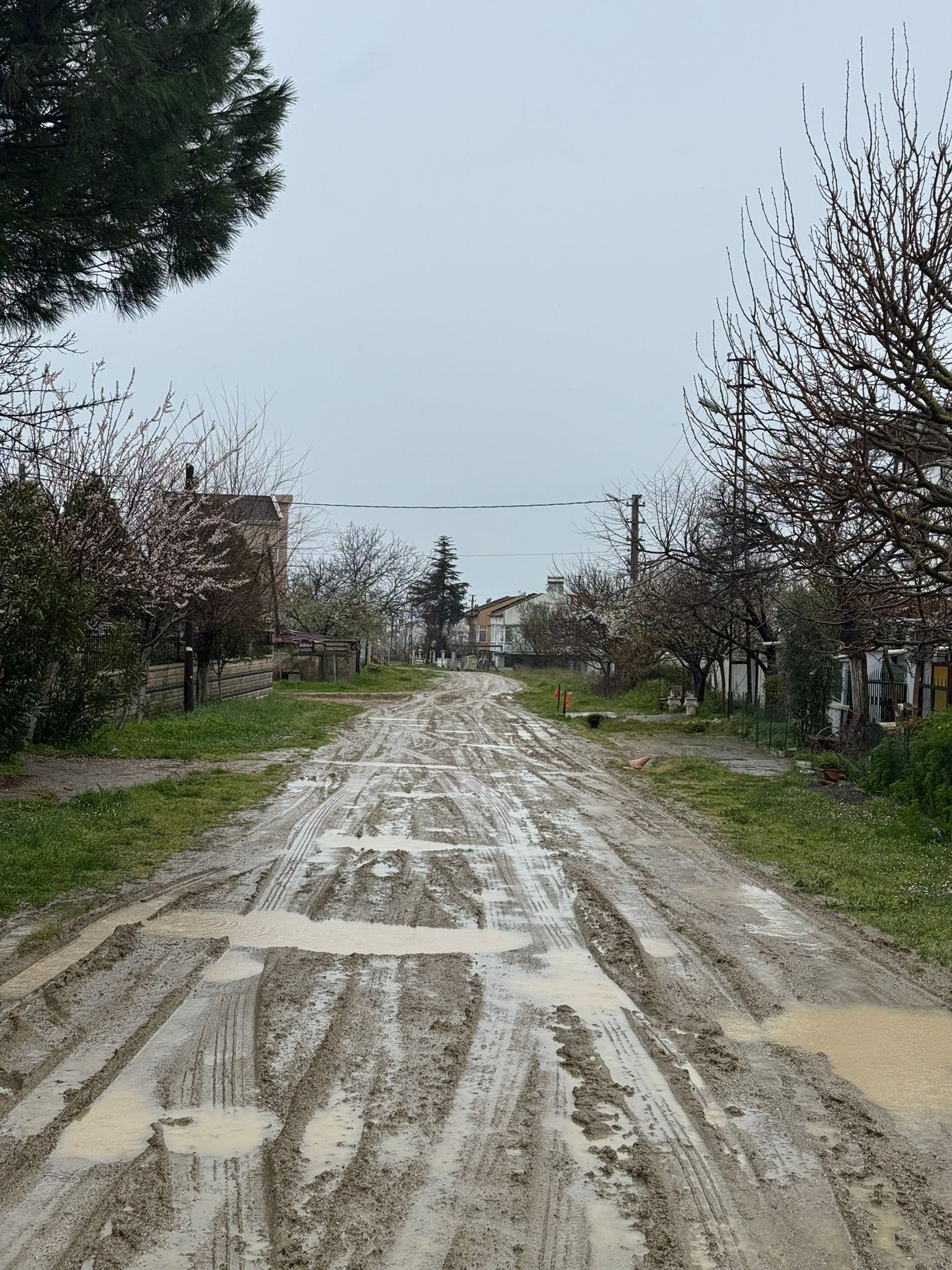 Türkmenli’de Çamur Çilesi