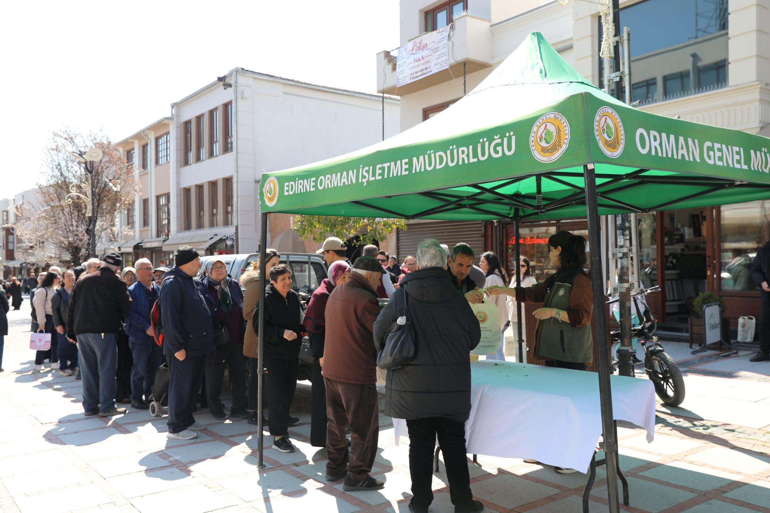 3 bin ıhlamur fidanı dağıtıldı