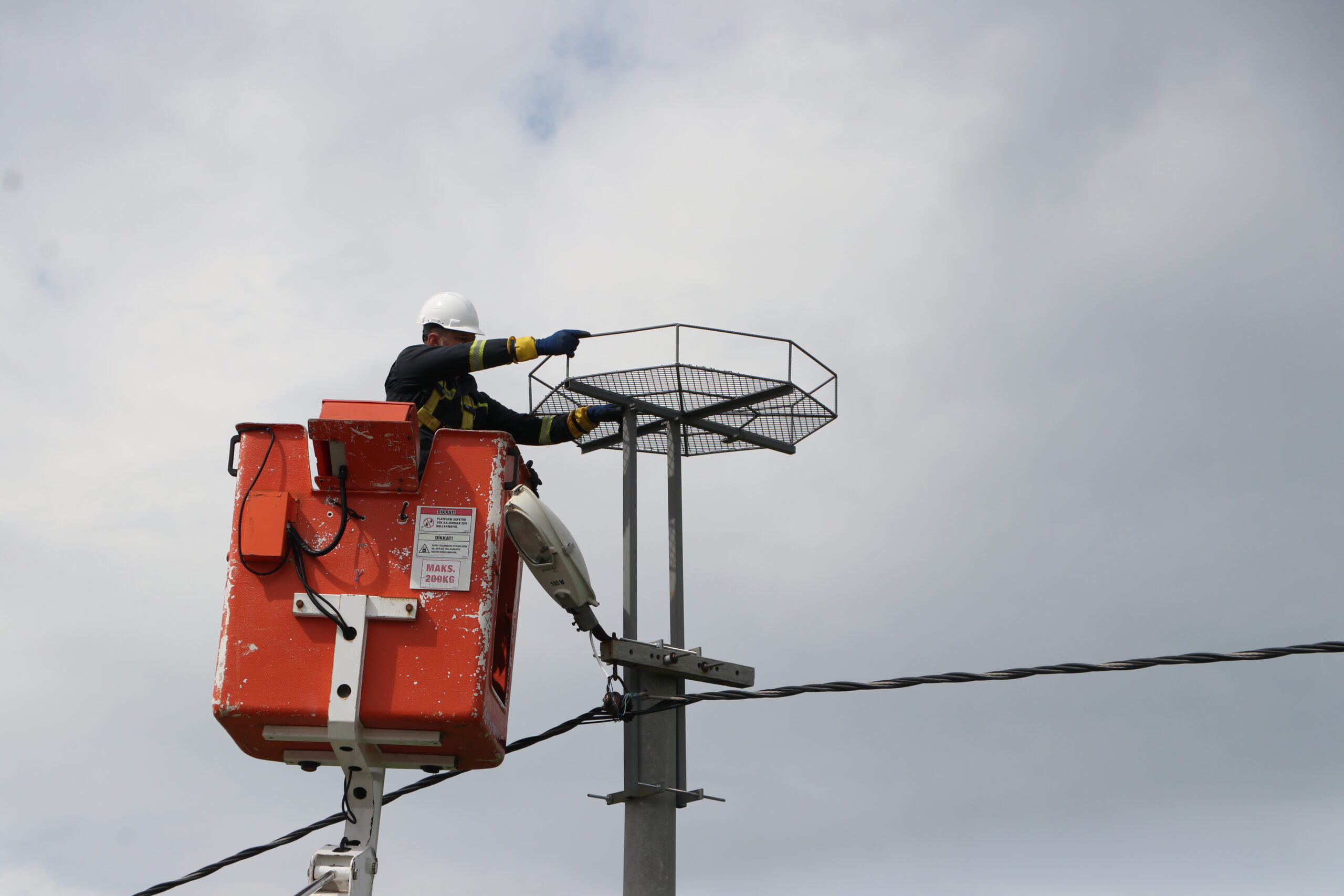 Leylekler için elektrik direklerine 1000 platform kuruldu