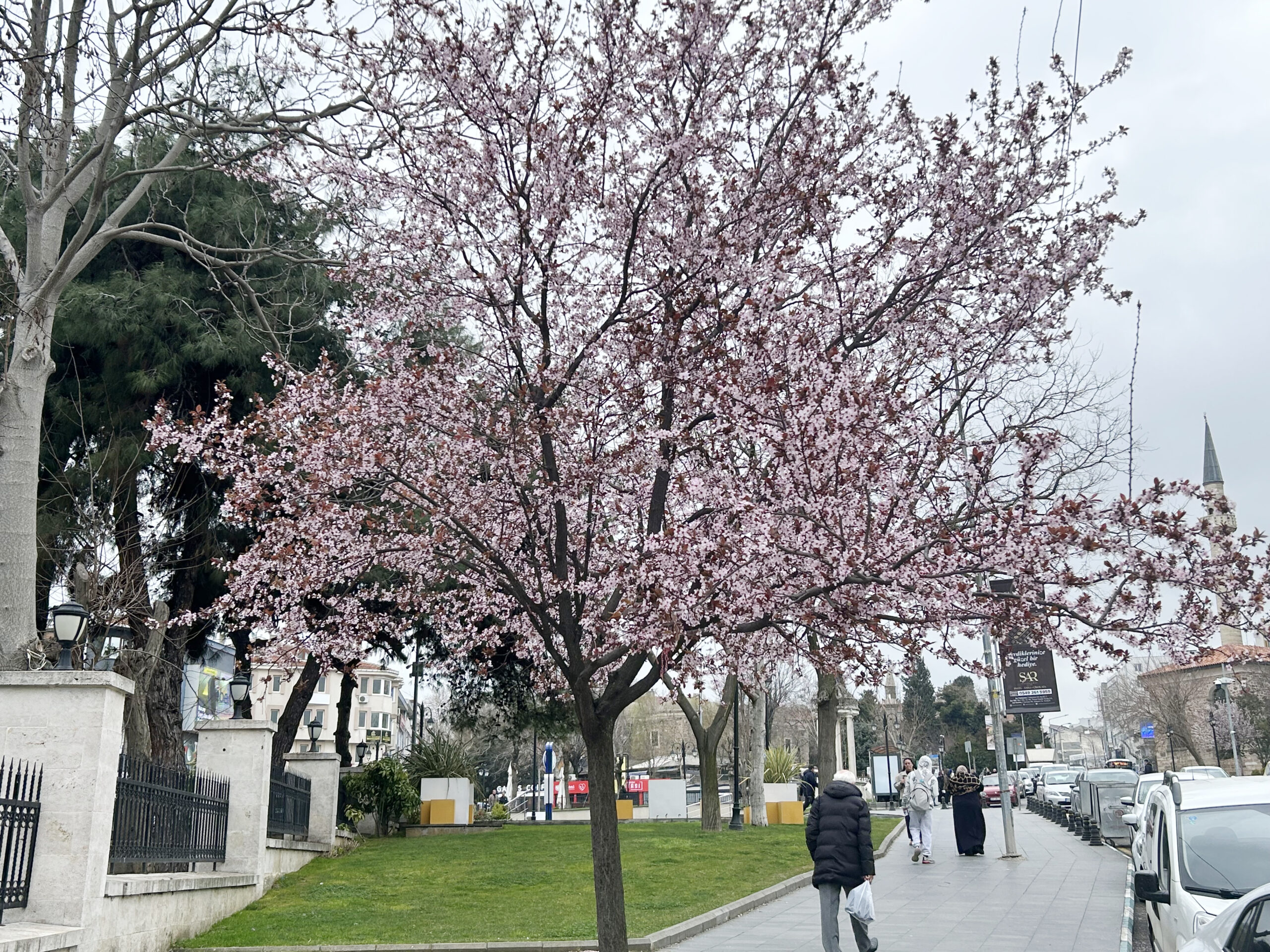 Cami önünde görsel şölen